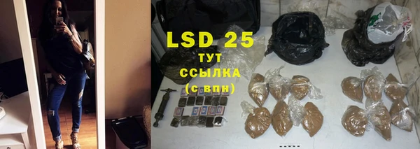 твердый Краснослободск