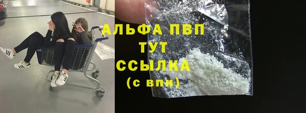 твердый Краснослободск