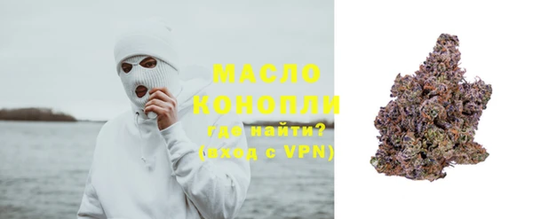 твердый Краснослободск