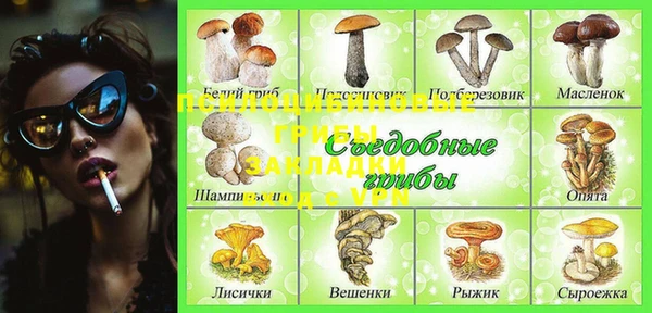 твердый Краснослободск