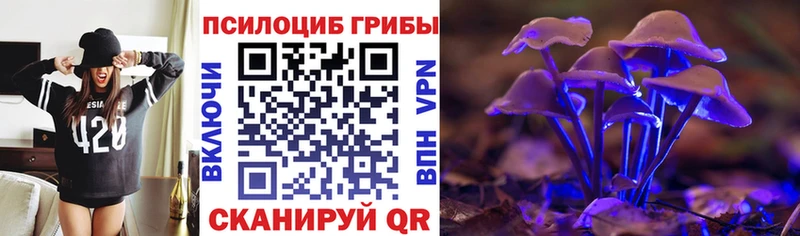 Купить  Сергач  Псилоцибиновые грибы Psilocybine cubensis 